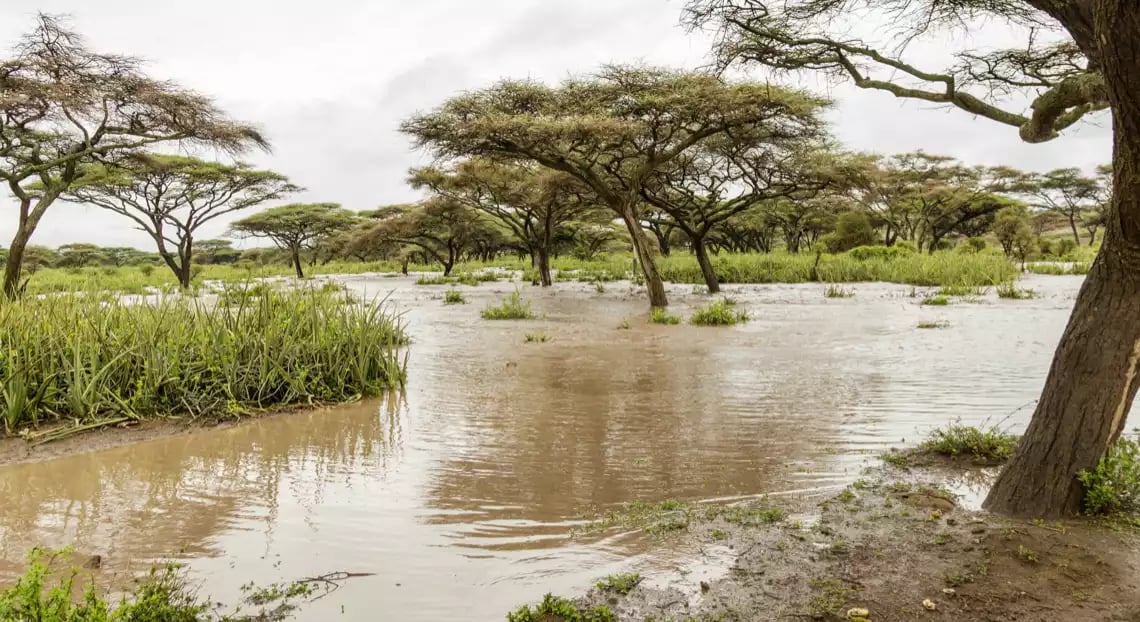 Beach Safari - When to Visit - Long Rains - Image 02-1