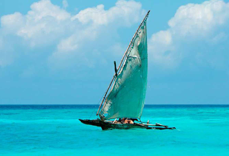Blue Safari - Image - 1