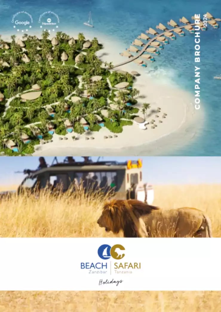 Company Brochure-1