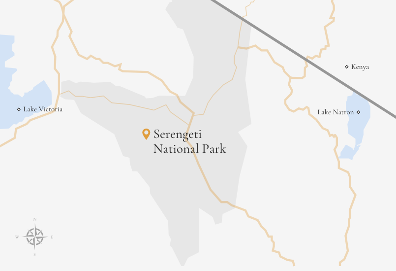 Placeholder Map Image 01-1