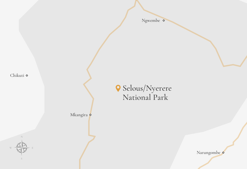 Selous Nyerere National Park - Image 07