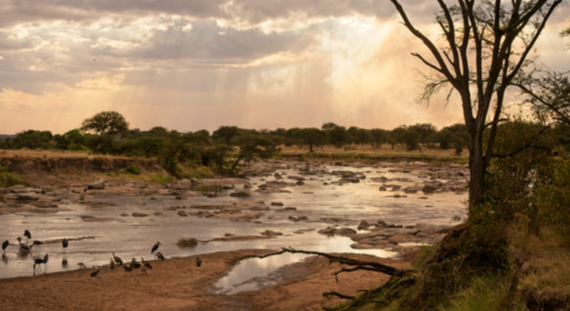 Short Rains - Image 04-1