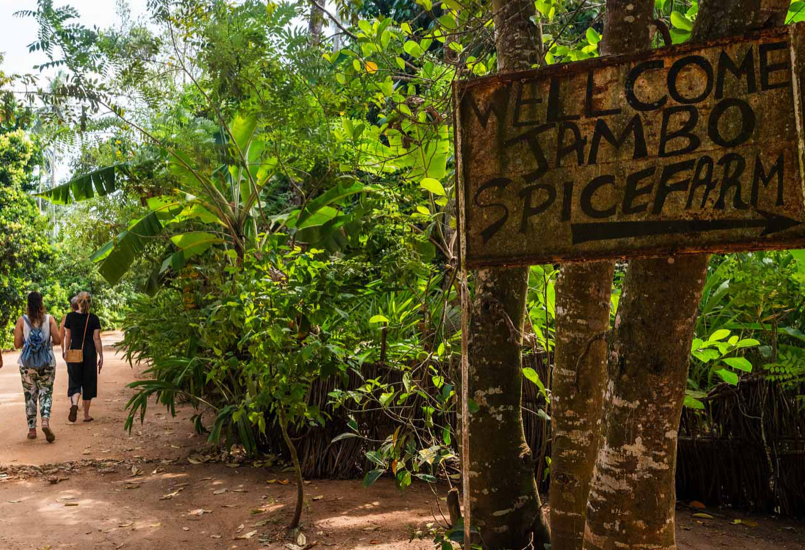Spice Tour - Image - 1