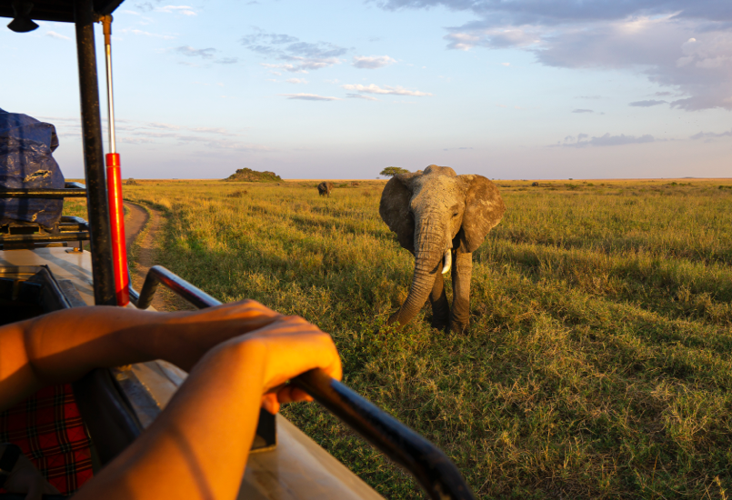 Tarangire National Park - Image 02