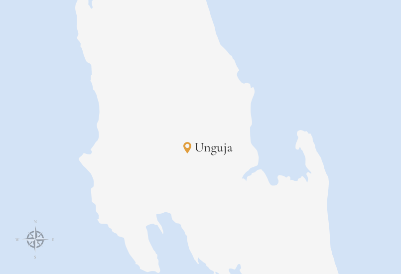 Unguja - Image 10