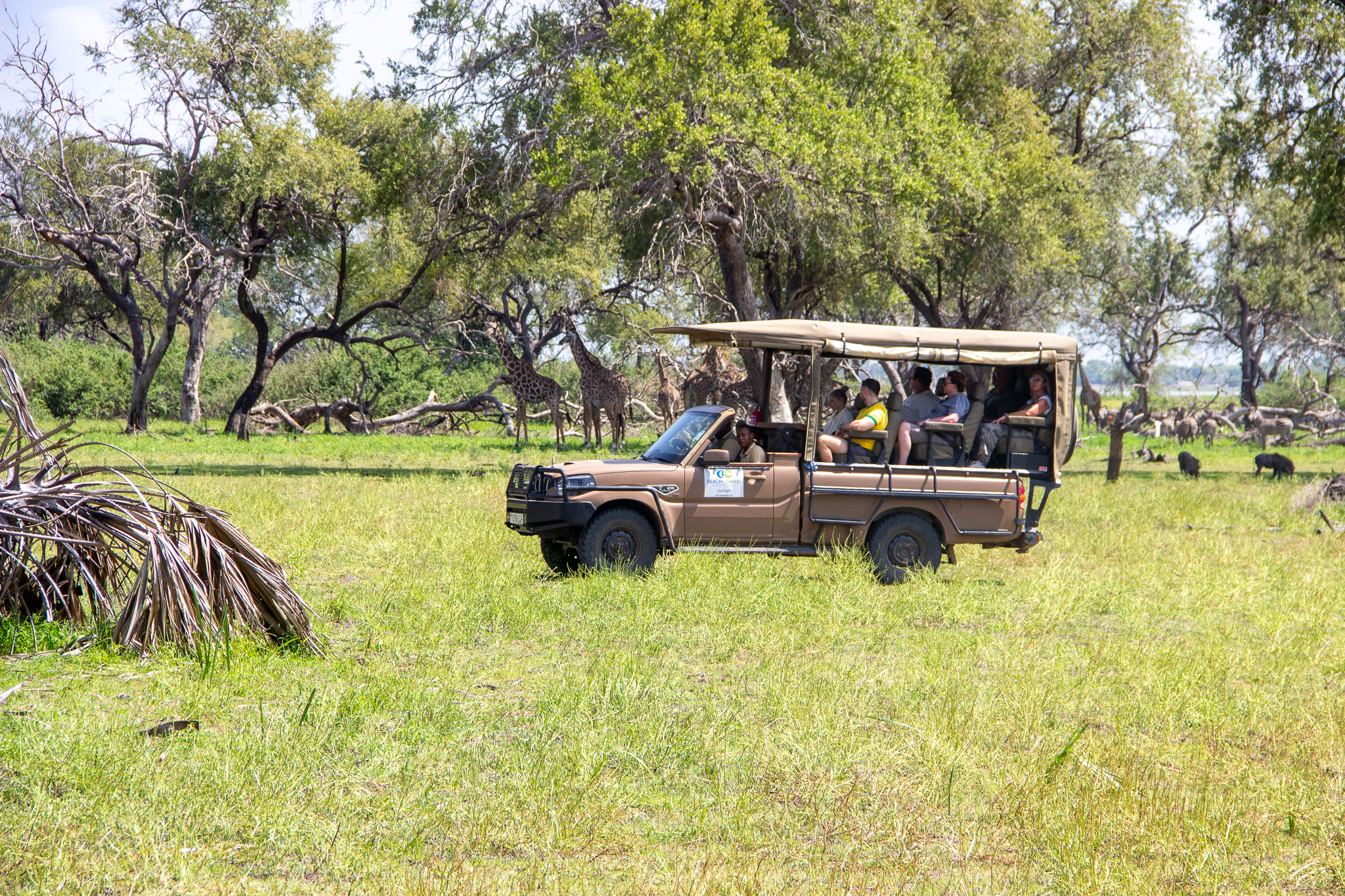 Open Safari Vehicle