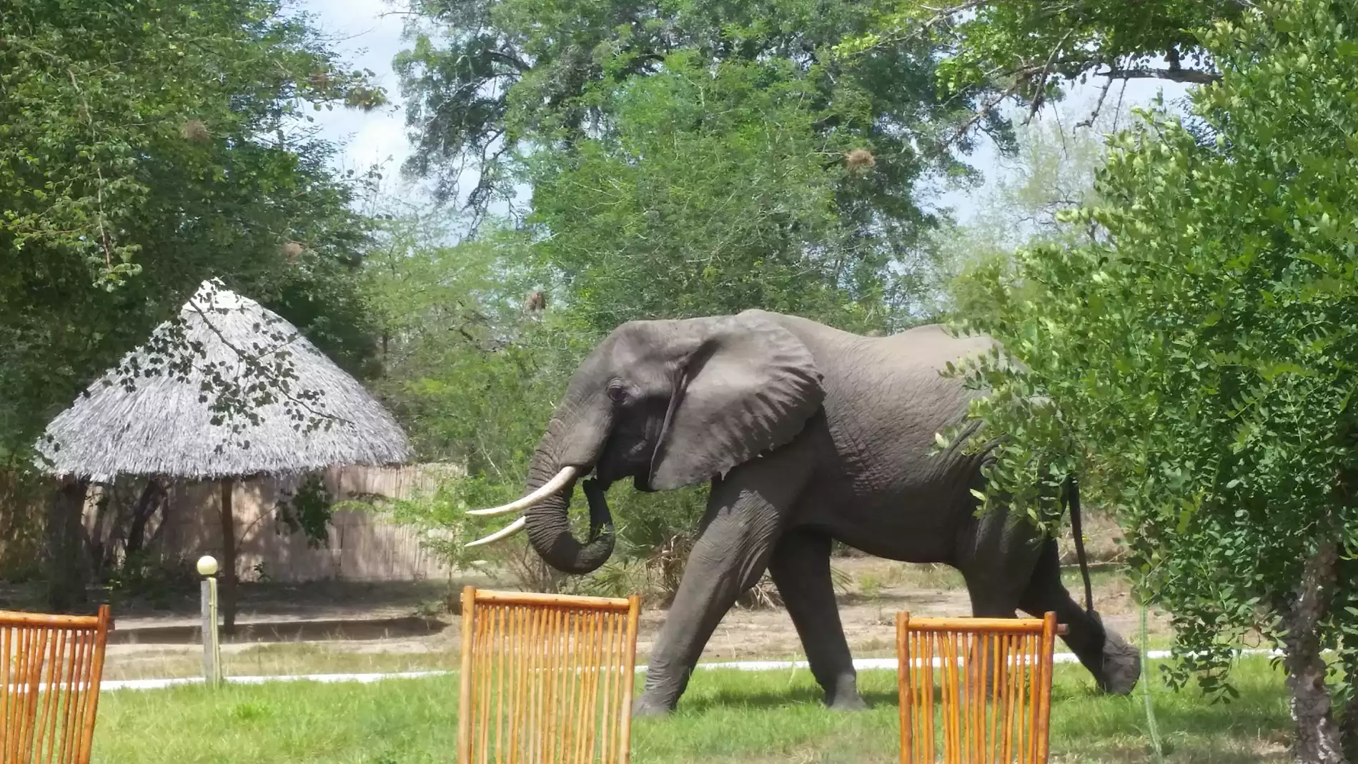 Beach Safari - Accommodation Detail - Africa Safari Selous - Image Gallery 07