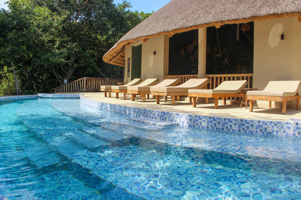 Africa-Safari-Nyerere