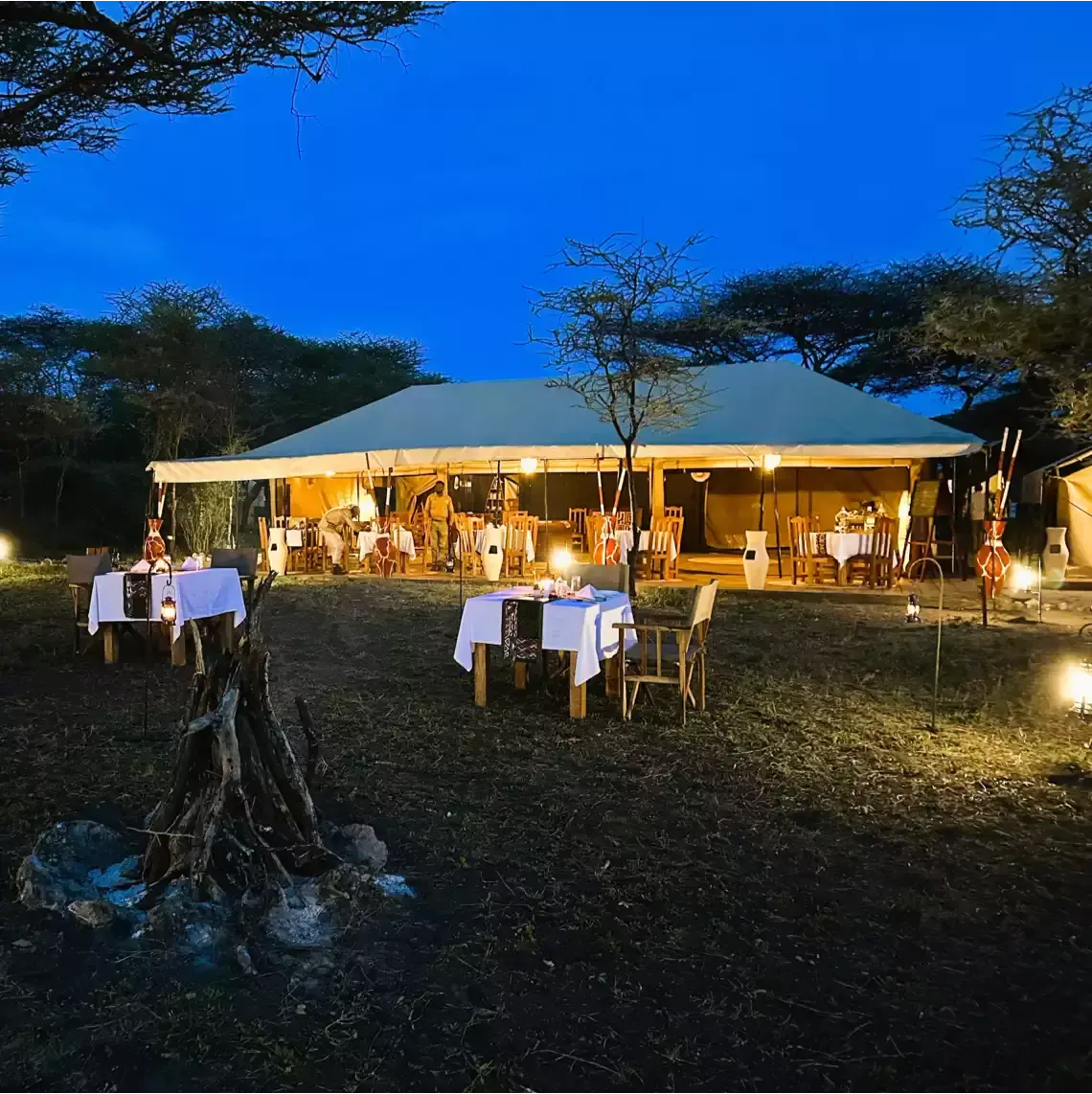 Beach Safari - Accommodation Listing - Northern Tanzania Lodges - Africa Safari Serengeti Kusini - Image 08-1