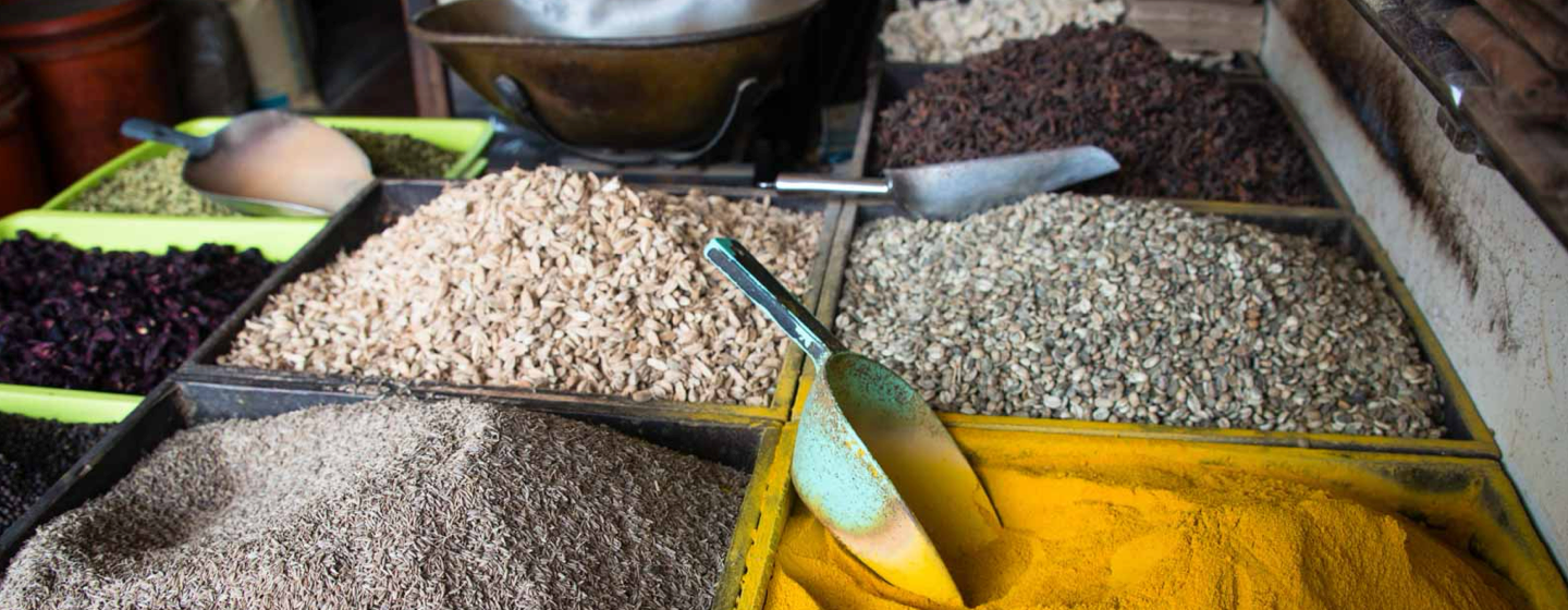 Beach Safari - Activities - Spice Tour - Header