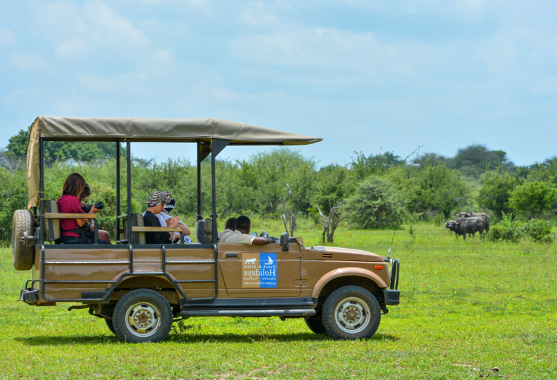 Beach Safari - Destination Detail - Ruaha National Park - Left Image-1