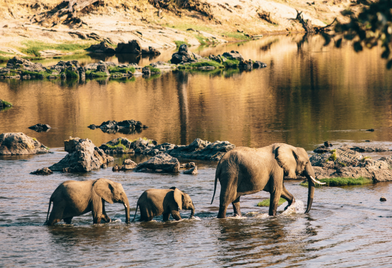 Beach Safari - Destinations Northern Tanzania - Left Image