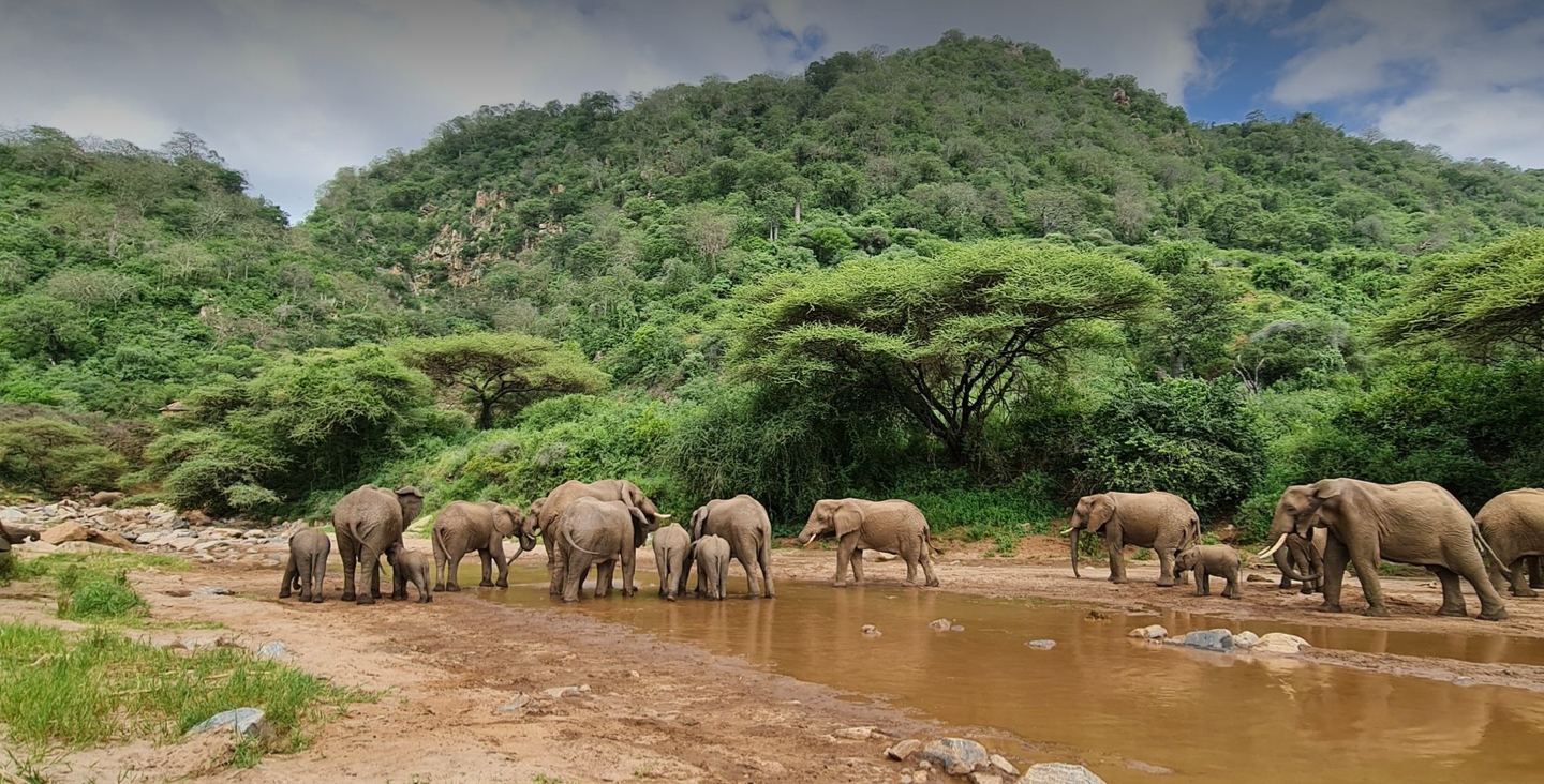 Beach Safari - Destinations Southern Tanzania - Header