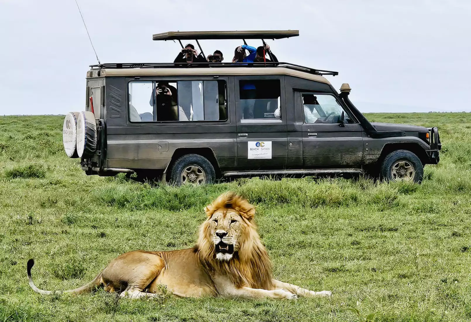 Beach Safari - Our Story - Right Image - Our Vision-1