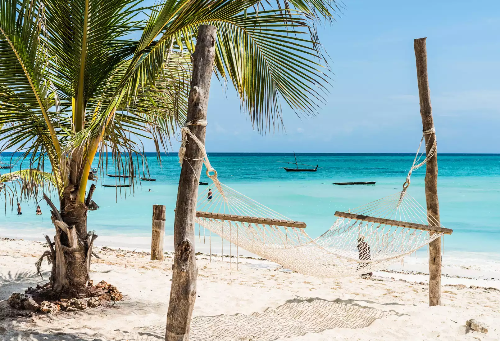 Beach Safari - When to Visit - Right Image-1