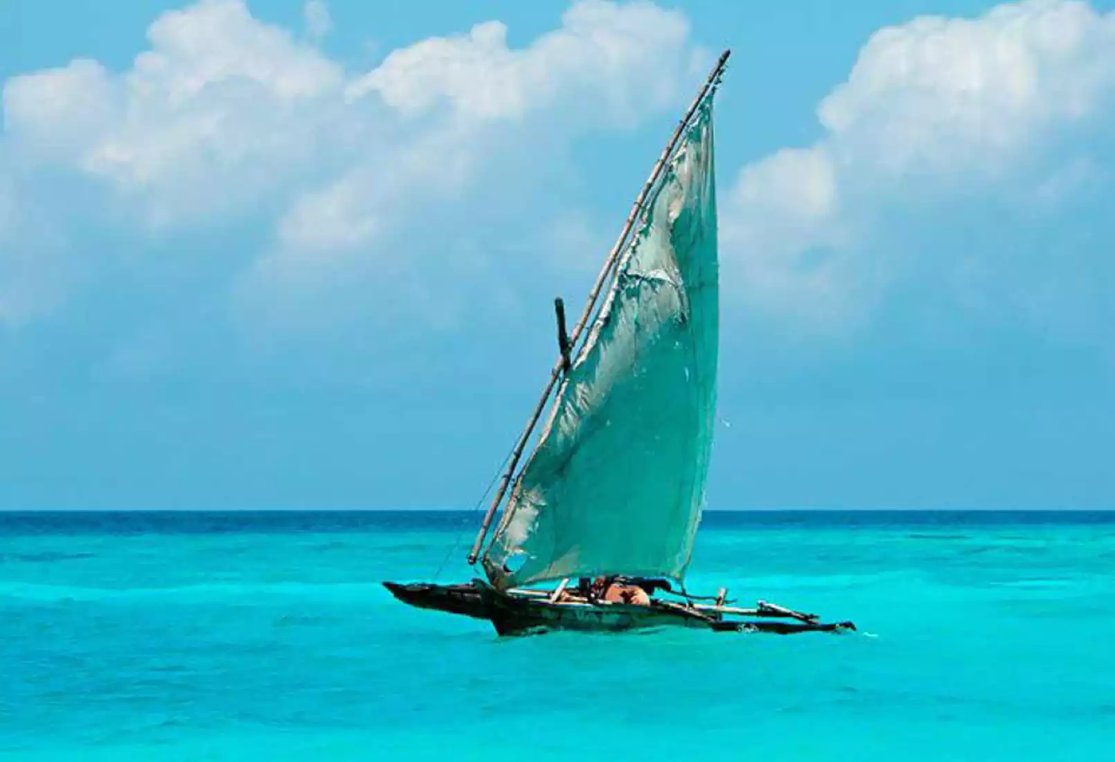 Beach Safari - Activities - Blue Safari - Right Image.WEB.P