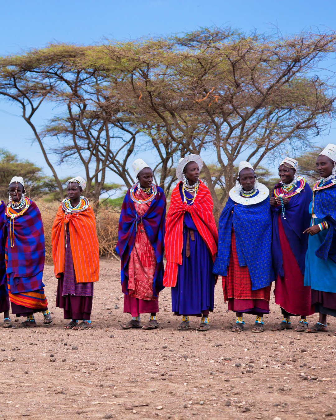 Post – Feb 8 _ Cultural Insight