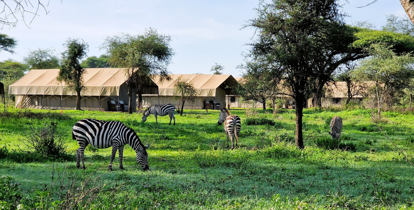 South Serengeti Camp