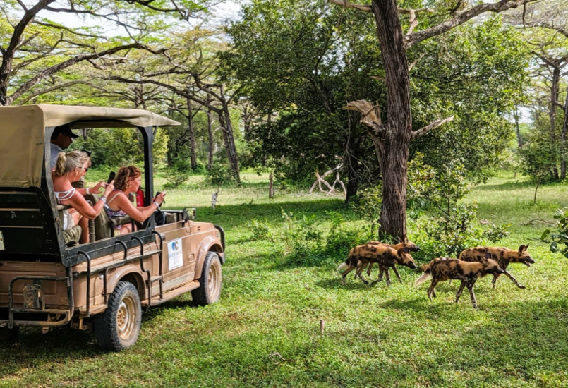 Wildlife Conservation & Community Support - Image 02