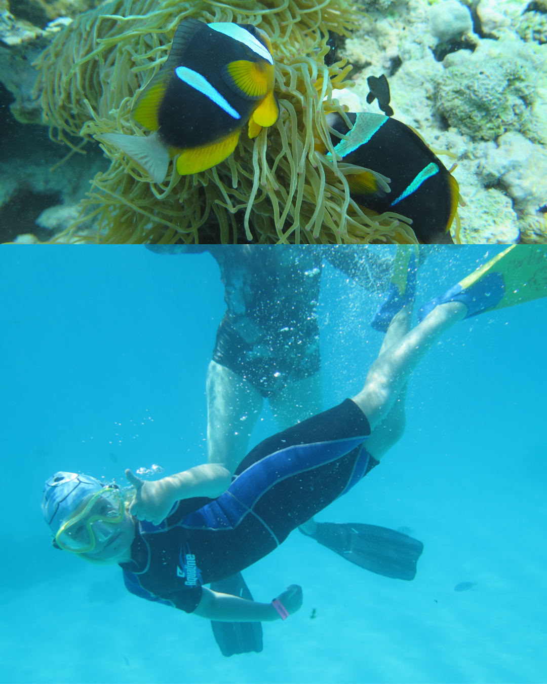 ZNZ - Mnemba Snorkeling (2)